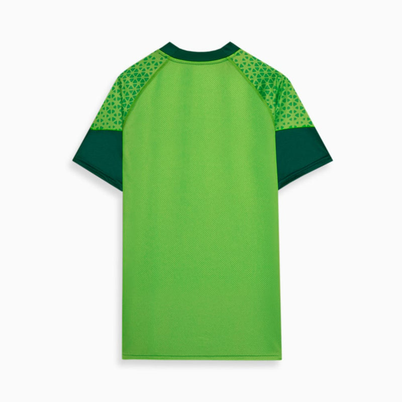 Camisa Treino e Viagem Palmeiras 24/25 Verde - Rezenha 10 FC