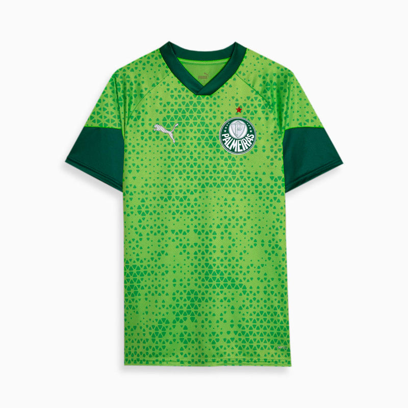 Camisa Treino e Viagem Palmeiras 24/25 Verde - Rezenha 10 FC